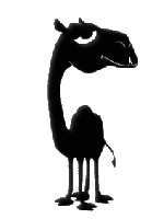 image of a camel
